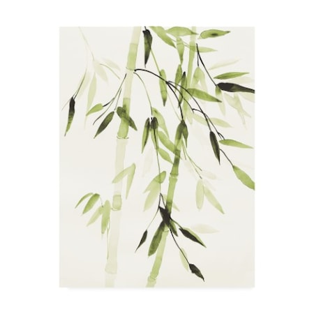 Danhui Nai 'Bamboo Leaves V Green' Canvas Art,18x24
